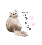 ペルシャ猫のほたてチャンと愉快な仲間達（個別スタンプ：18）
