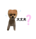 ペルシャ猫のほたてチャンと愉快な仲間達（個別スタンプ：19）