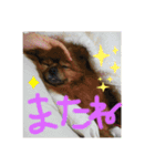 世界一のぷりん（個別スタンプ：5）