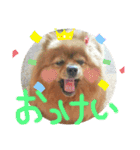 世界一のぷりん（個別スタンプ：12）
