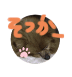 世界一のぷりん（個別スタンプ：15）