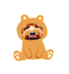 虎鉄くん！（個別スタンプ：2）