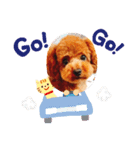 虎鉄くん！（個別スタンプ：7）