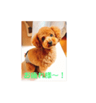虎鉄くん！（個別スタンプ：24）