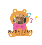 お茶目なブリガジ♡（個別スタンプ：8）