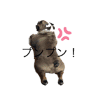 お茶目なブリガジ♡（個別スタンプ：17）