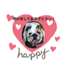 お茶目なブリガジ♡（個別スタンプ：24）
