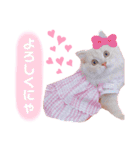 ラガマフィンのベルちゃん（個別スタンプ：4）