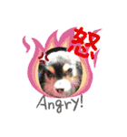 我が家のかわいい愛犬めるたん2（個別スタンプ：11）