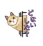 ネコの伝言（個別スタンプ：2）