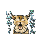 ネコの伝言（個別スタンプ：3）