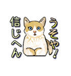 ネコの伝言（個別スタンプ：4）