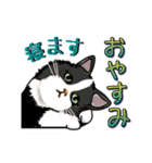 ネコの伝言（個別スタンプ：6）
