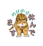 ネコの伝言（個別スタンプ：8）