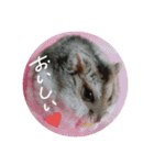 ジャンガリアンハムスターのツナ（個別スタンプ：1）