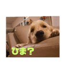 らっく＆れあの日常2（個別スタンプ：3）