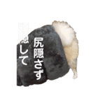 ポメラニアンはじめました②（個別スタンプ：10）