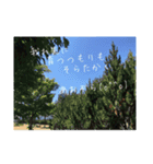 あおぞら(o^^o)の独り言（個別スタンプ：6）