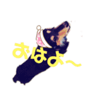 pocky2♡（個別スタンプ：20）