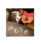 フェレットのオリーブちゃんです（個別スタンプ：4）