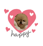 かわいい犬のマオ（個別スタンプ：4）