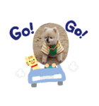 かわいい犬のマオ（個別スタンプ：6）