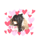 こはさんご♪（個別スタンプ：1）
