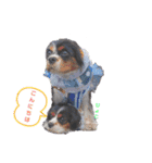こはさんご♪（個別スタンプ：5）