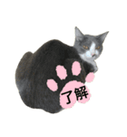 ウチのルル②（個別スタンプ：6）