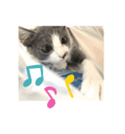 ウチのルル②（個別スタンプ：14）