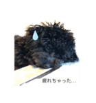 BOOのいちにち☆（個別スタンプ：2）