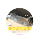 まいにちトリちゃん2（個別スタンプ：2）