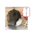 まいにちトリちゃん2（個別スタンプ：10）