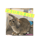 まいにちトリちゃん2（個別スタンプ：14）