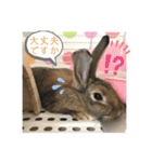 まいにちトリちゃん2（個別スタンプ：15）