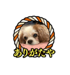 リンゴさんスタンプ パート4（個別スタンプ：3）