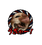 リンゴさんスタンプ パート4（個別スタンプ：6）