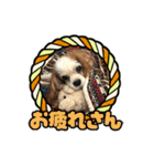 リンゴさんスタンプ パート4（個別スタンプ：9）