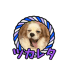 リンゴさんスタンプ パート4（個別スタンプ：12）