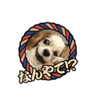 リンゴさんスタンプ パート4（個別スタンプ：14）