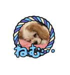 リンゴさんスタンプ パート4（個別スタンプ：15）