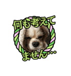 リンゴさんスタンプ パート4（個別スタンプ：19）
