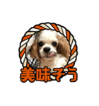 リンゴさんスタンプ パート4（個別スタンプ：24）