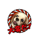 リンゴさんスタンプ パート4（個別スタンプ：25）