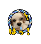 リンゴさんスタンプ パート4（個別スタンプ：30）