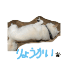 ももたろうの気持ち（個別スタンプ：3）