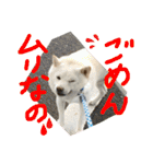 ももたろうの気持ち（個別スタンプ：8）
