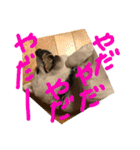 ももたろうの気持ち（個別スタンプ：12）