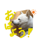 ももたろうの気持ち（個別スタンプ：13）