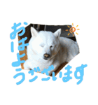 ももたろうの気持ち（個別スタンプ：14）